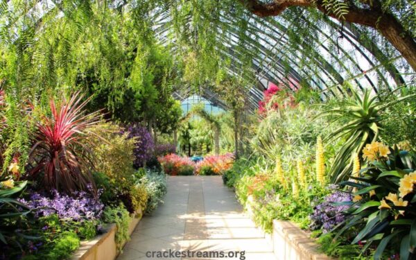 What are the Best Botanical Gardens in Your Area?