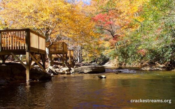 How to Choose the Perfect Mountain Stream RV Park