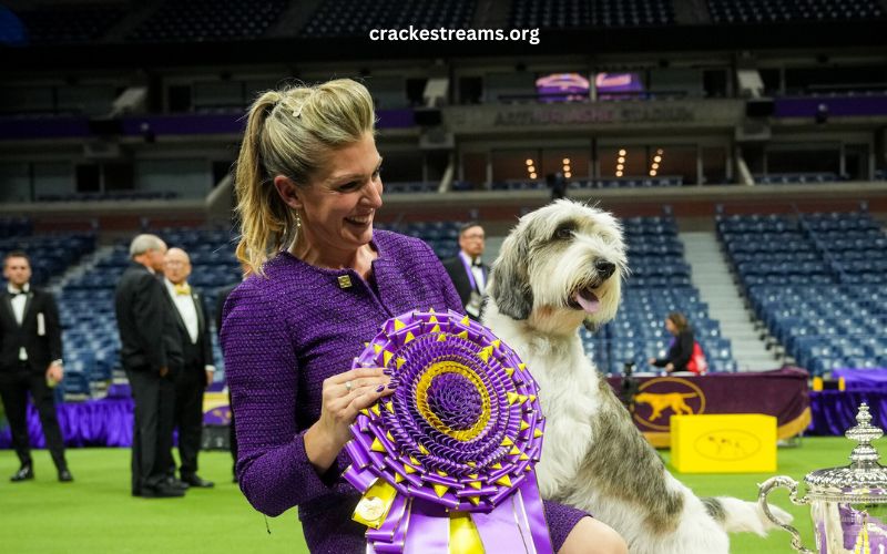 Westminster Dog Show 2023 Dogs