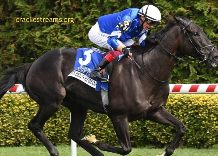 Expert Turf Predictions for the Upcoming Season